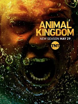 Animal Kingdom S03E03 FRENCH HDTV