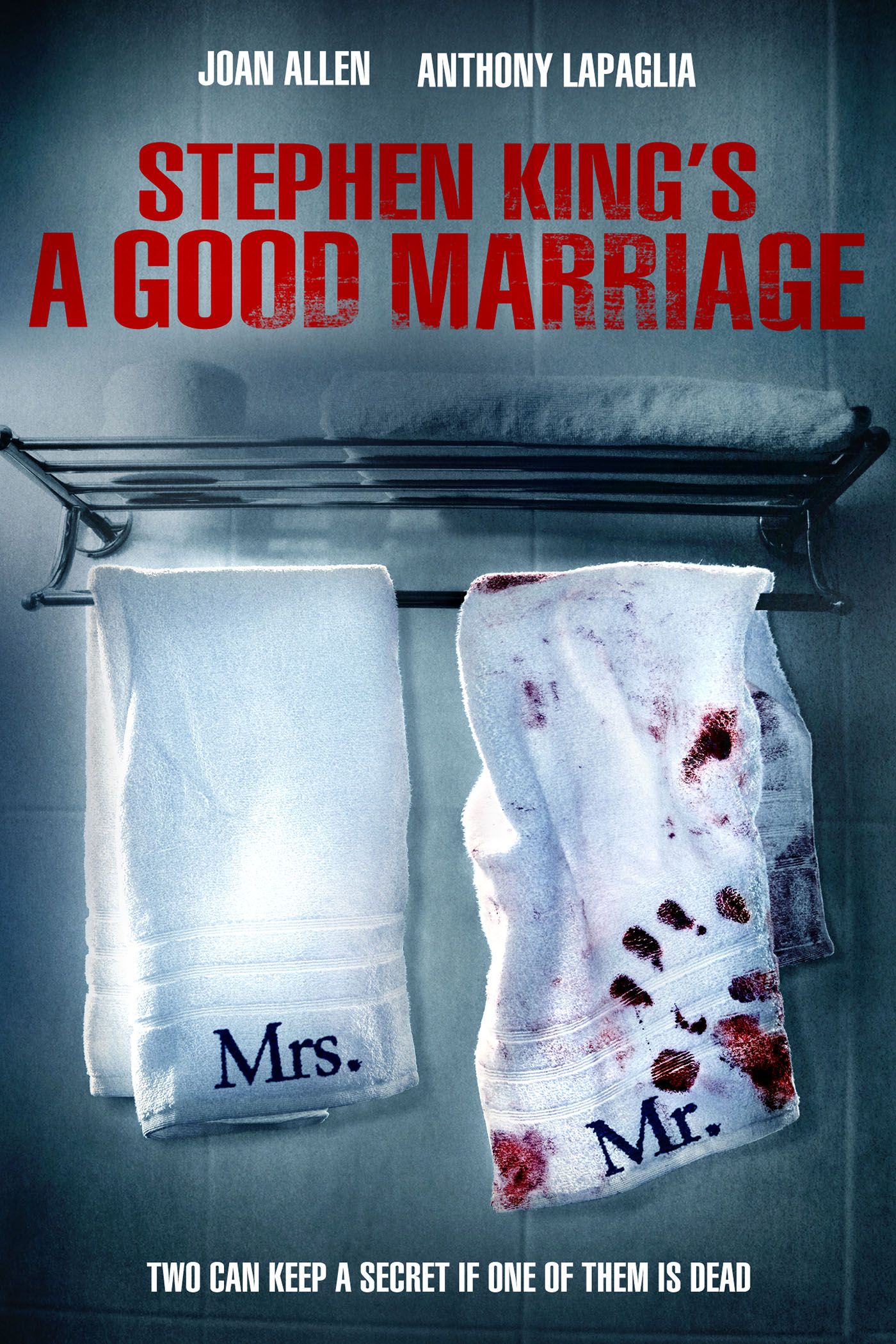Couple modèle (A Good Marriage) TRUEFRENCH WEBRIP 720p 2014