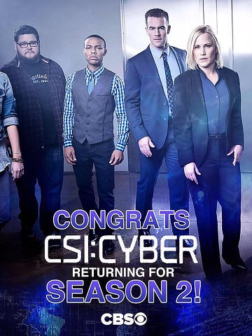 CSI: Cyber S02E18 FINAL FRENCH HDTV