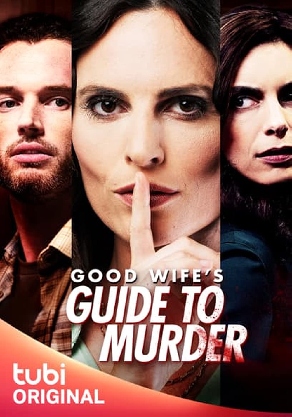 Good Wife's Guide to Murder FRENCH WEBRIP 720p 2023