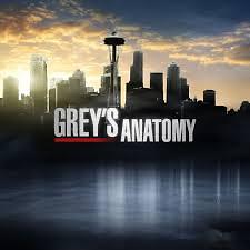 Grey's Anatomy S11E15 VOSTFR HDTV