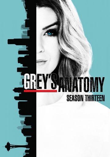 Grey's Anatomy S13E23 FRENCH HDTV