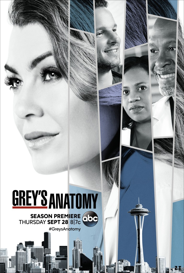 Grey's Anatomy S14E08 VOSTFR HDTV