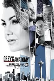 Grey's Anatomy S14E22 VOSTFR HDTV