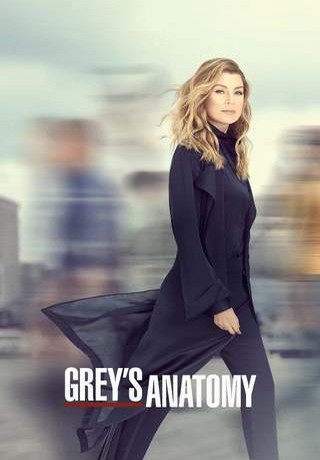 Grey's Anatomy S16E15 FRENCH HDTV