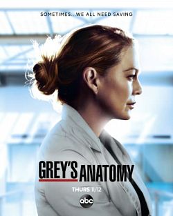 Grey's Anatomy S17E08 VOSTFR HDTV