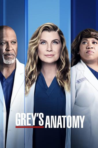 Grey's Anatomy S18E12 FRENCH HDTV