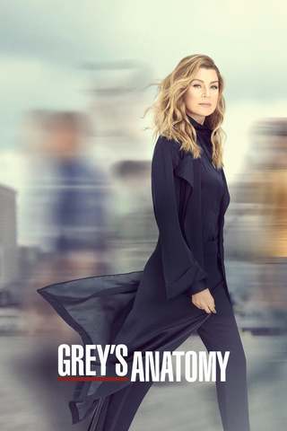 Grey's Anatomy Saison 16 FRENCH HDTV