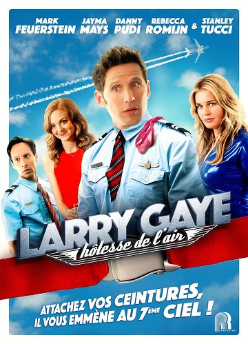 Larry Gaye: hôtesse de l'air FRENCH DVDRIP 2016