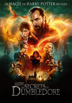 Les Animaux Fantastiques : les Secrets de Dumbledore FRENCH DVDRIP x264 2022