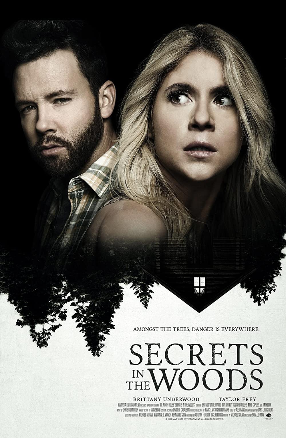 Secrets in the Woods FRENCH WEBRIP 1080p 2021
