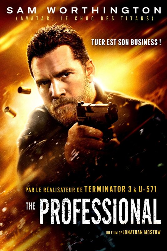 The Professional FRENCH HDLight 1080p 2017