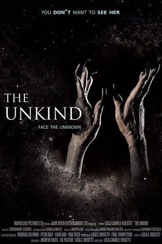 The Unkind FRENCH WEBRIP LD 720p 2022